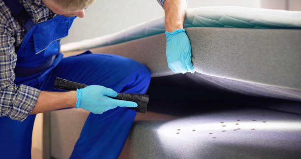  Homestead Meadows North, TX Pest Control Pros