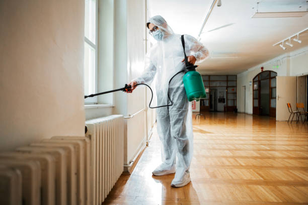 Best Affordable Pest Control Services  in Homestead Meadows North, TX